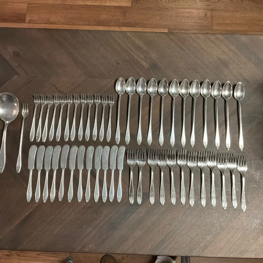 Lady Doris Princess Silver Plated Vintage Flatware 50 Piece Set